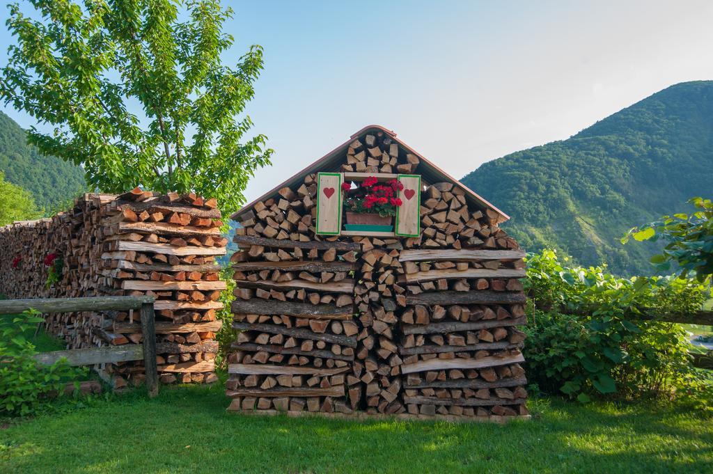 Tourist Farm Pri Kafolu Villa Tolmin Exteriör bild